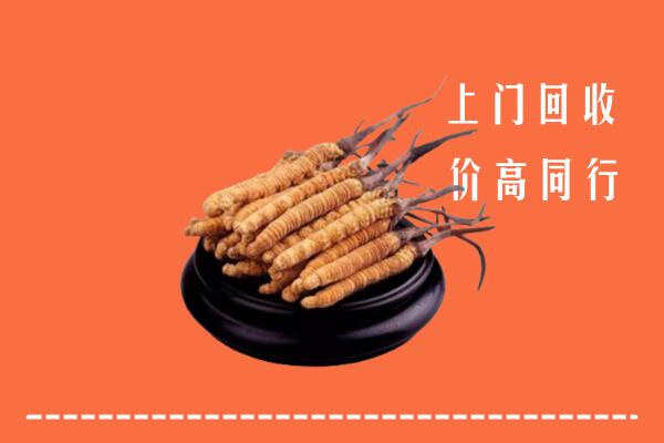 高价求购：张家口桥东区回收散虫草