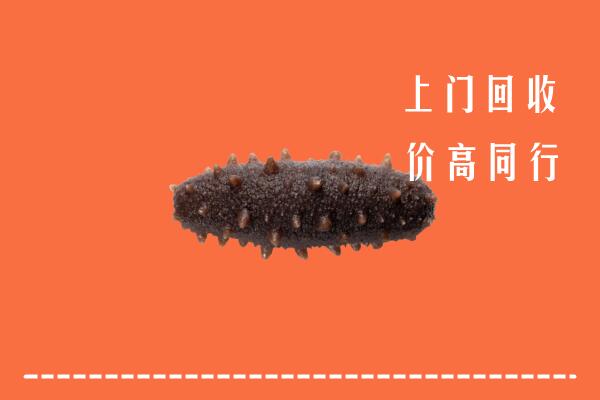 高价求购：张家口桥东区回收海参