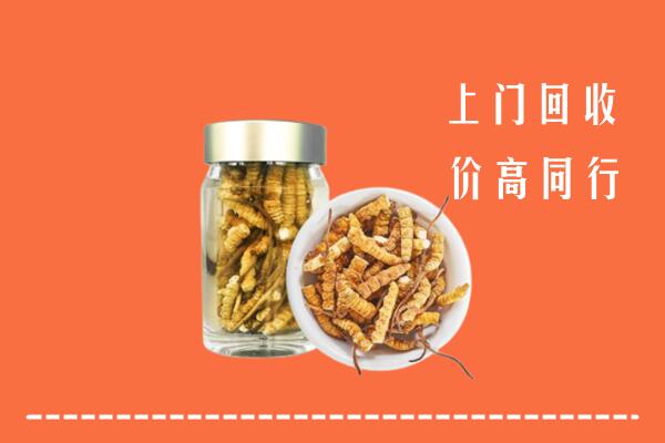 张家口桥东区回收冬虫夏草